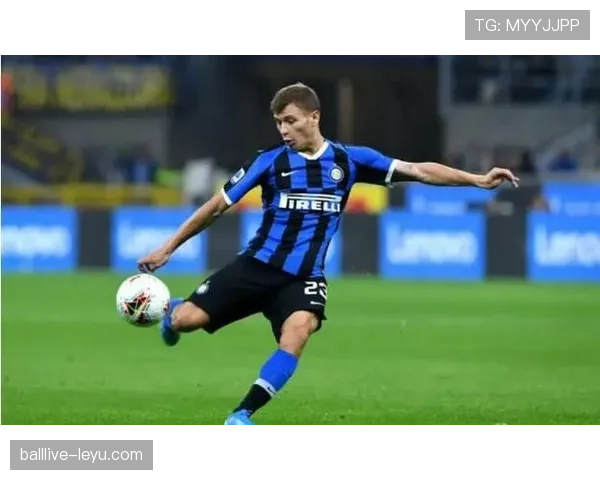 劳塔罗跑动覆盖面积深度解析：战术价值持续攀升